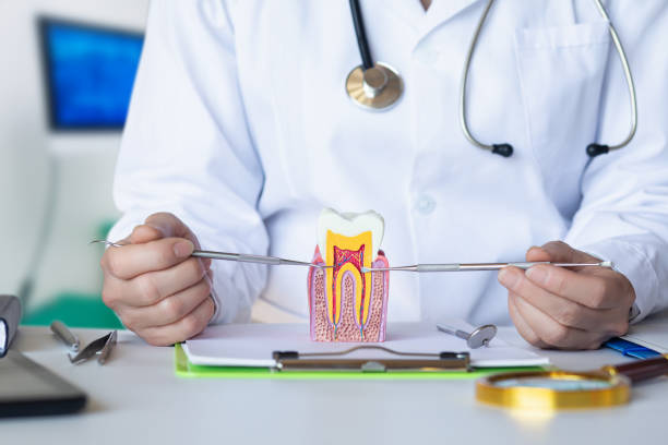 Best Emergency Dentist for Special Needs Patients in Panthersville, GA